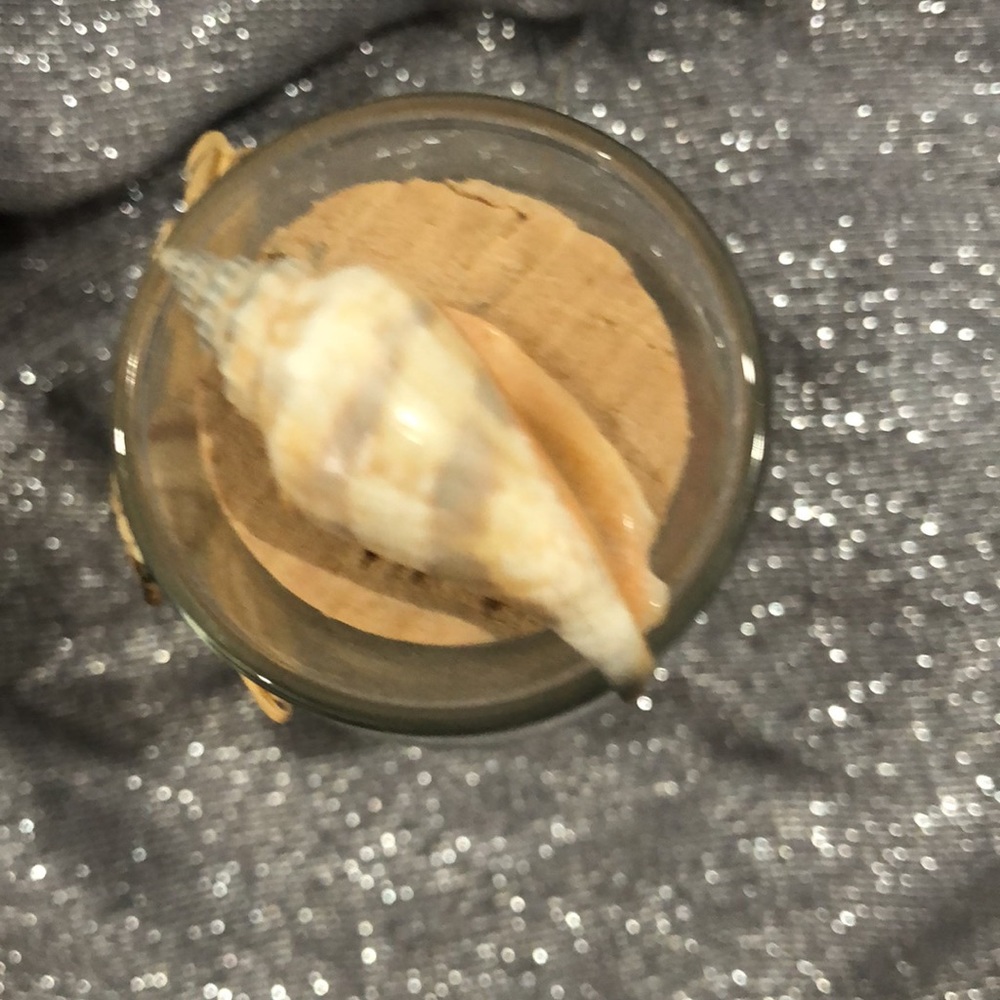 Handmade Decorative seashell jar - Picture 4 of 4